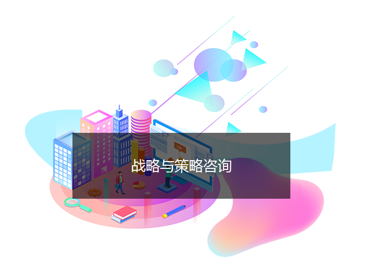 战略与策略咨询